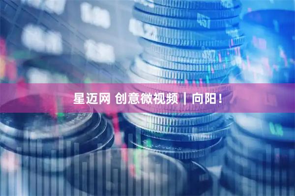 星迈网 创意微视频｜向阳！