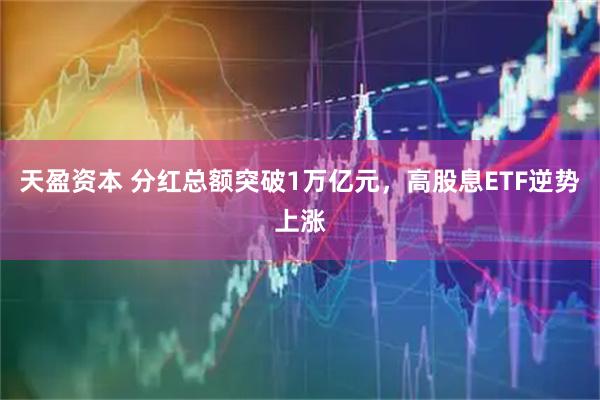 天盈资本 分红总额突破1万亿元，高股息ETF逆势上涨